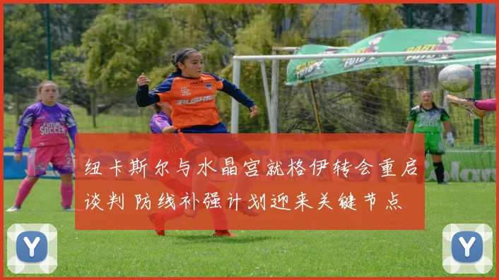 纽卡斯尔与水晶宫就格伊转会重启谈判 防线补强计划迎来关键节点